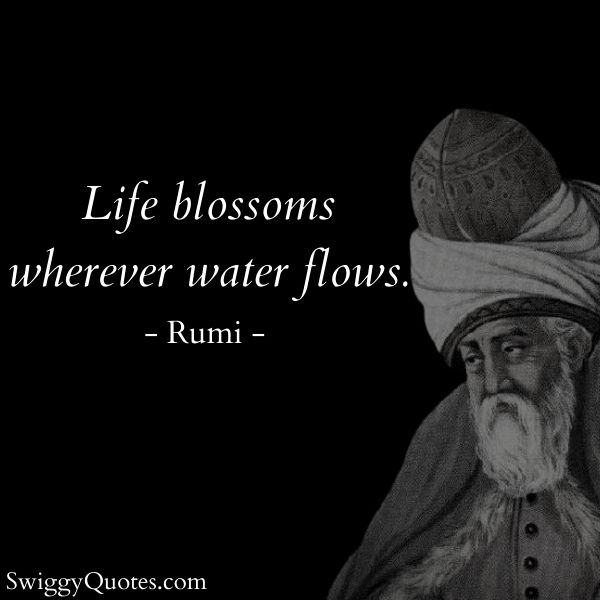 Life blossoms wherever water flows - rumi quotes on life