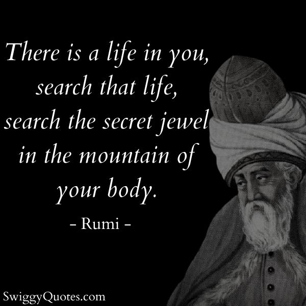 There is a life in you search that life - rumi quote on life