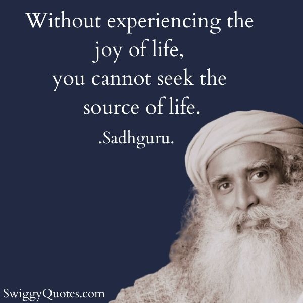 Without experiencing the joy of life you cannot seek the source of life