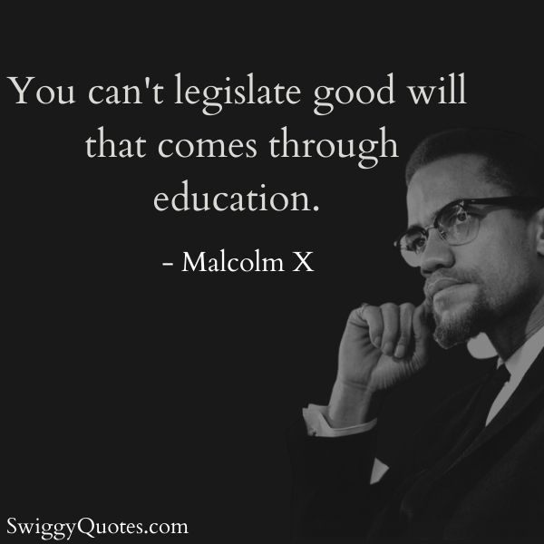 You cant legislate good will that comes through education - Malcolm X quotes on education