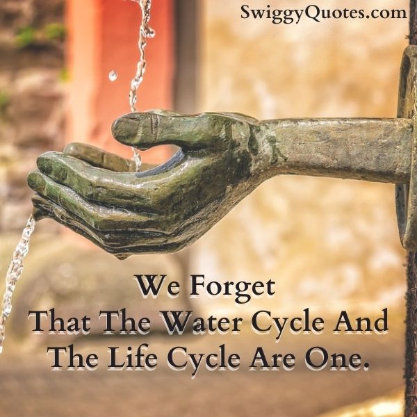 We Forget That The Water Cycle And The Life Cycle Are One.